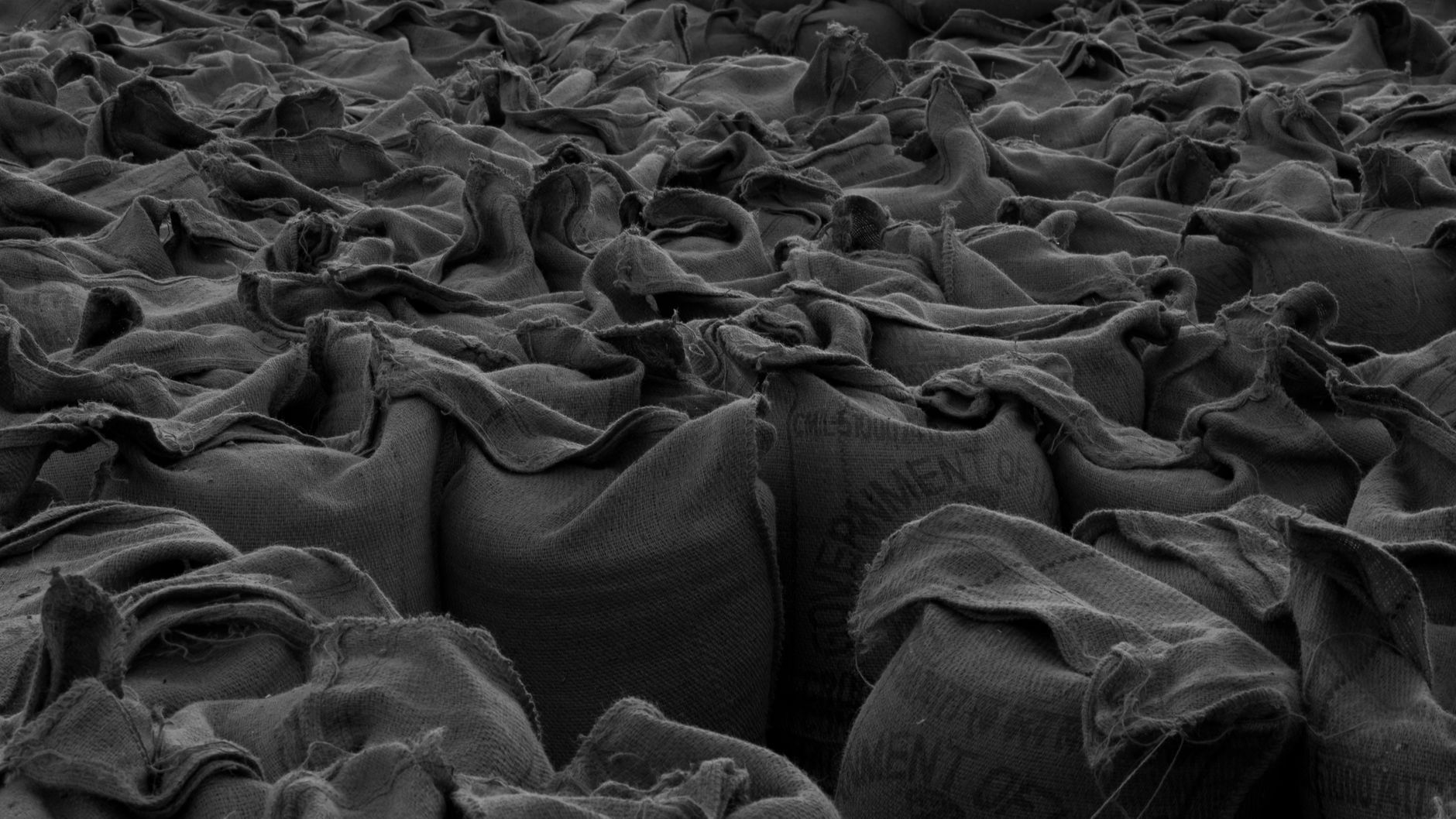 White refined sugar in stacked bags inside an export warehouse