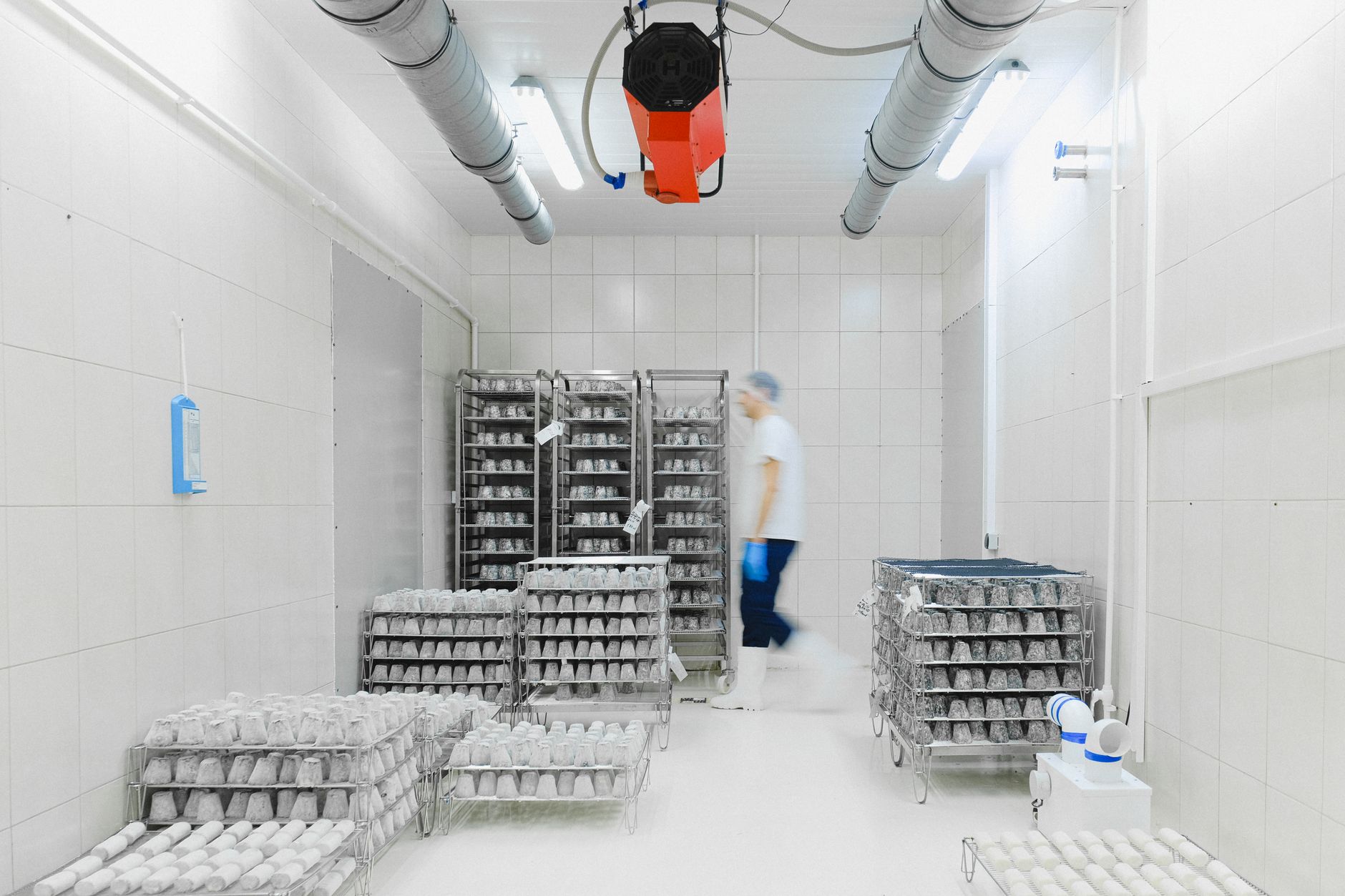 Vacuum-packed beef cuts and export cartons in a Brazilian cold storage warehouse