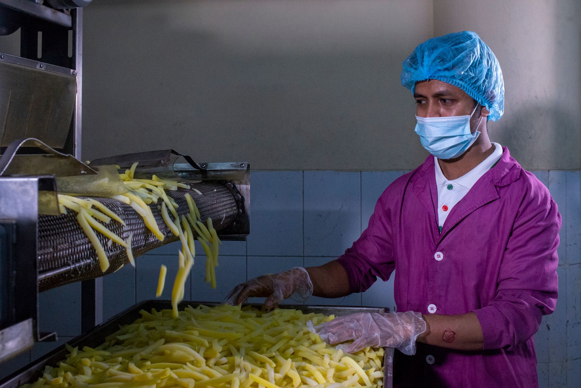 Quality control staff inspecting a poultry processing line at a Brazilian meat plant