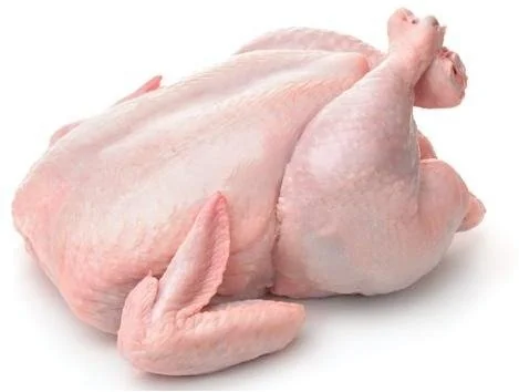 Frozen Chicken, Brazilian export supplier