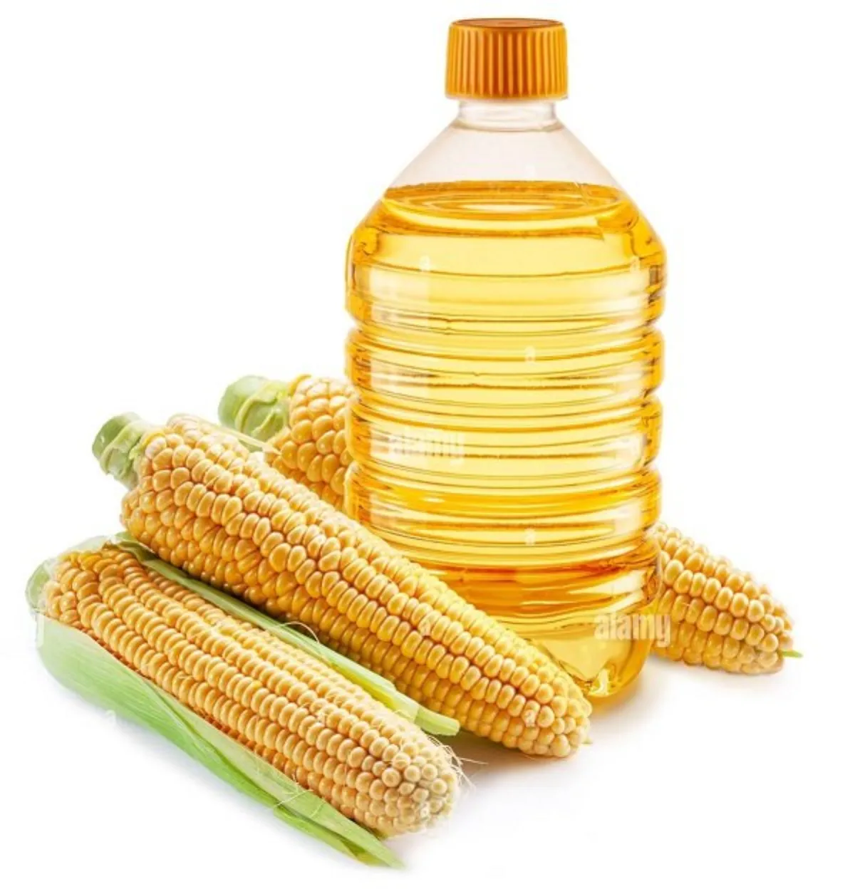 Corn Oil, Brazilian edible oils export