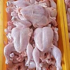 Frozen Whole Chicken Broiler, Brazilian frozen chicken export