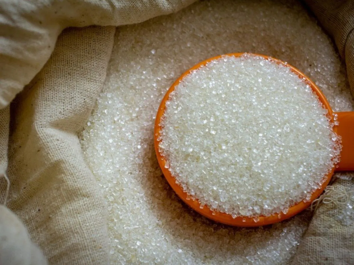 Raw Sugar (VHP), Brazilian sugar export